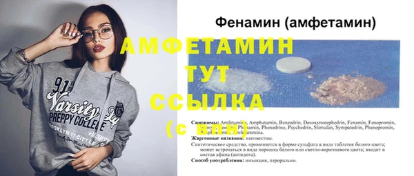 молекула духа Богородицк