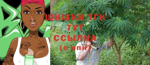 молекула духа Богородицк