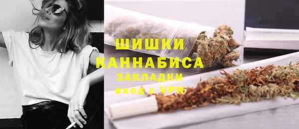 молекула духа Богородицк