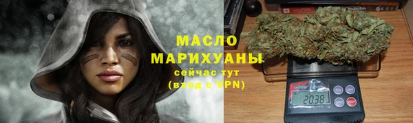 молекула духа Богородицк