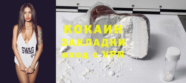 молекула духа Богородицк