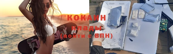 молекула духа Богородицк