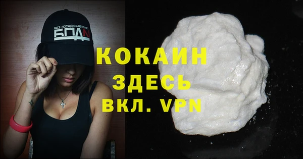 молекула духа Богородицк