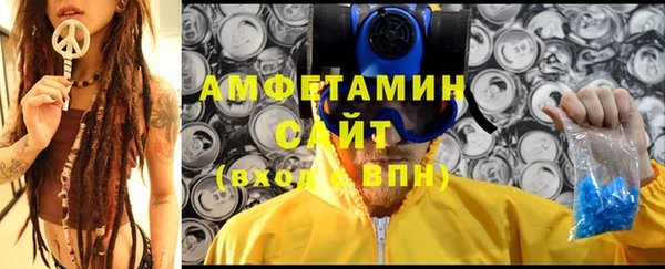 молекула духа Богородицк