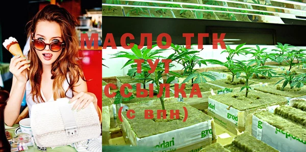 молекула духа Богородицк
