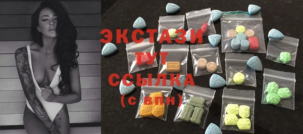 молекула духа Богородицк