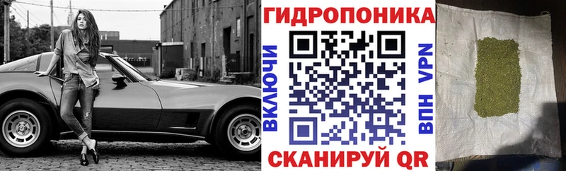 Каннабис Bruce Banner  Афипский 